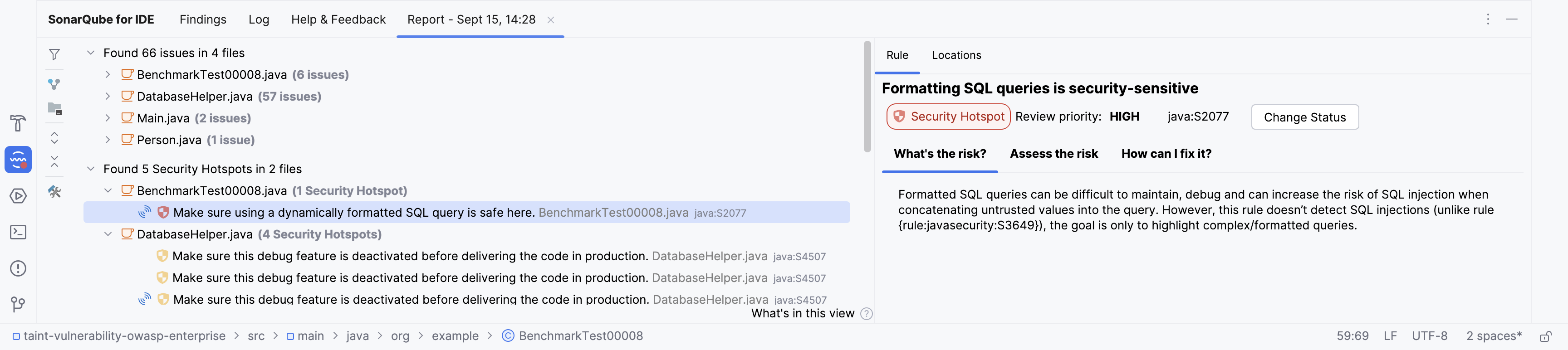 Security hotspots are separated from regular issues in the SonarQube for IDE: Report tab.