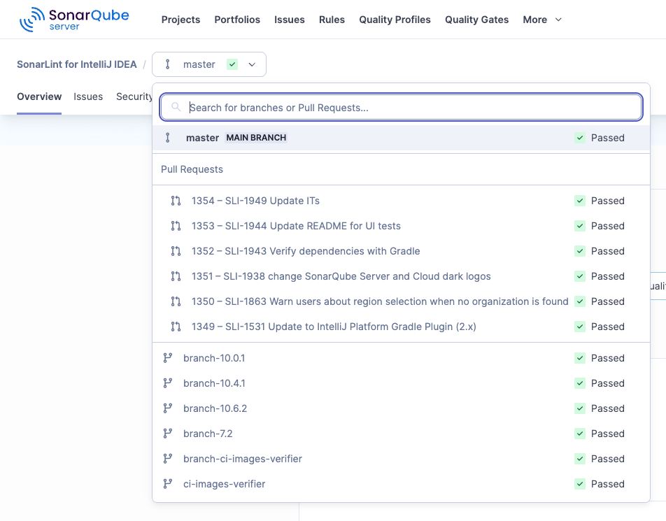 A view of your analyzed branches and pull request in SonarQube Server.